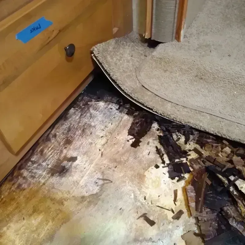 Wood Floor Water Damage in Willow, AK